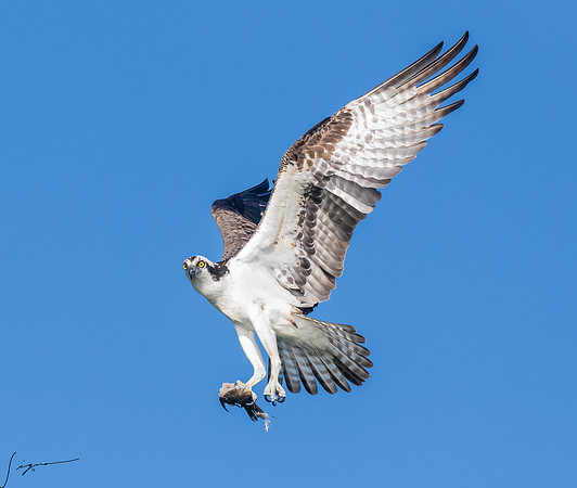 BlueCypressLake20190412_0927