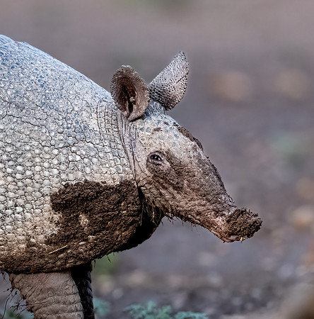 LaLomitaRanch20210501_1130-Edit