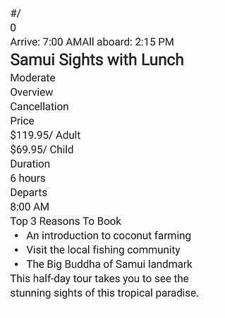 Samui Sights with Lunch_250203_201943_Page_1