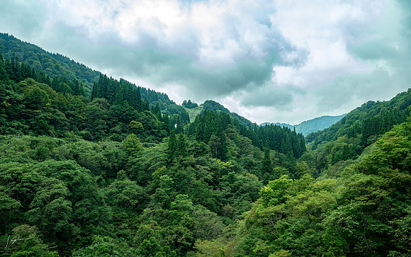 20240929Toyama_0086