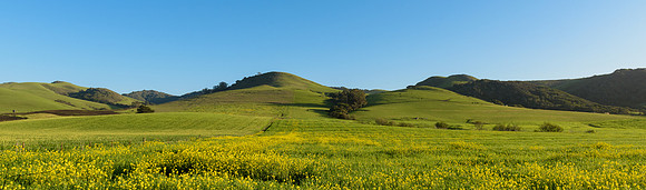 Los Osos CA