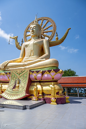 20250203KohSamuiThailand_0298