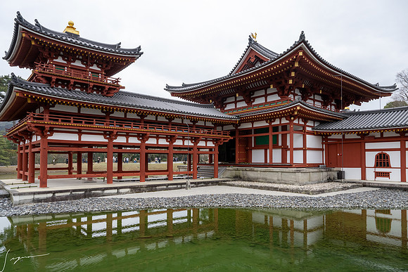 20250228OsakaJapan_0282