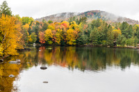 Fall Colors