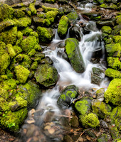 Streams