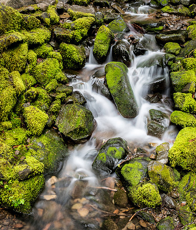Sol Duc Falls Area Olympic National Park WA