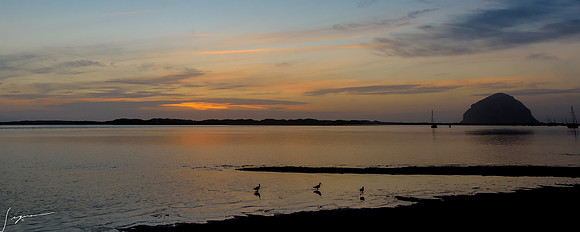 Morro Bay CA