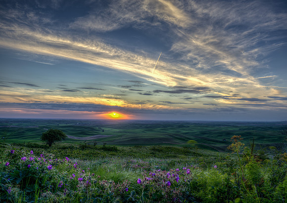 The Palouse WA