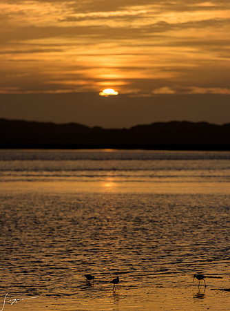 Morro Bay CA