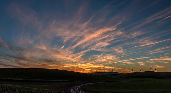 The Palouse WA