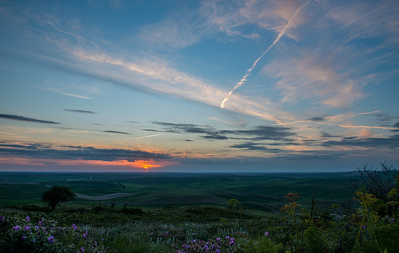The Palouse WA