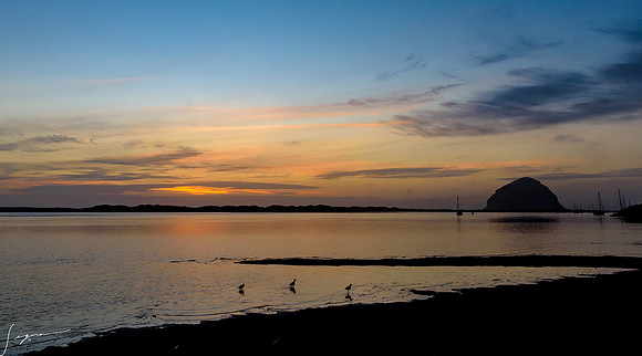 Morro Bay CA