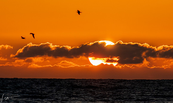 FtDesoto20190410_0448