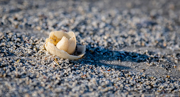 FtDesoto20190325_0432