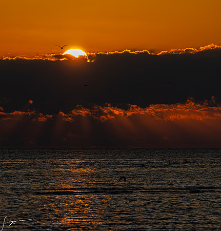 FtDesoto20190324_0871