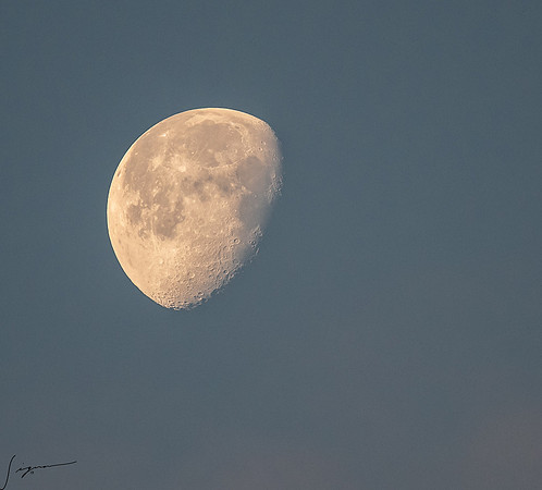FtDesoto20190325_0079