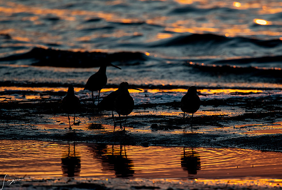 FtDesoto20190325_0025