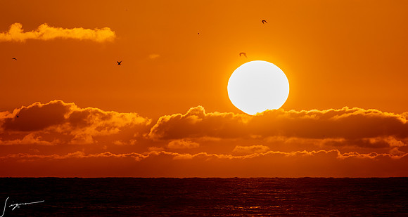 FtDesoto20190410_0437