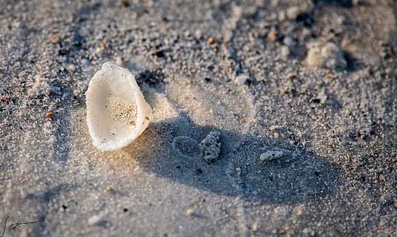 FtDesoto20190325_0354