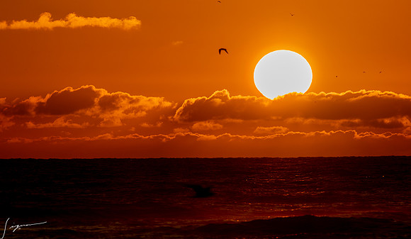FtDesoto20190410_0440