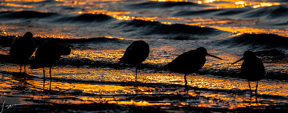 FtDesoto20190325_0037