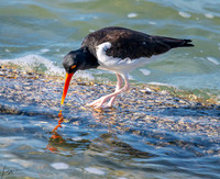 Fort De Soto Park