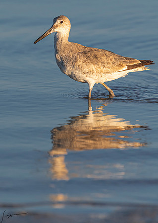 WilletFtDesoto20190325_1506