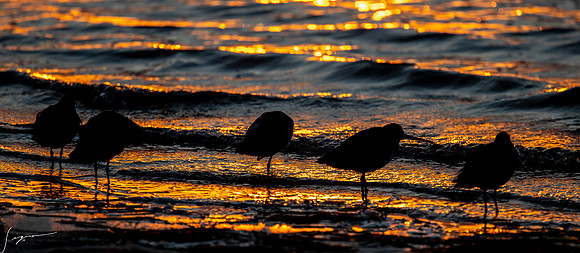 FtDesoto20190325_0039