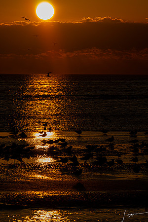 FtDesoto20190324_0847