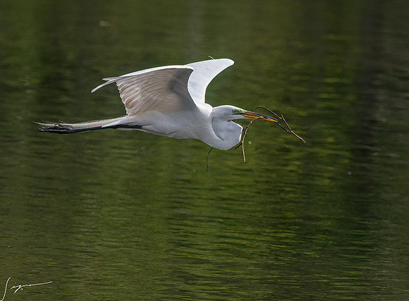 Gatorland20190413_1052-Edit