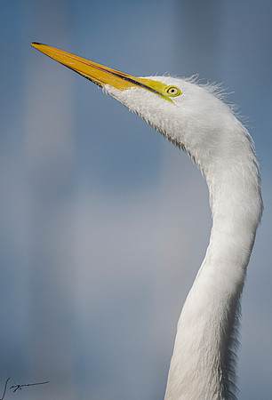 Gatorland20190413_0637
