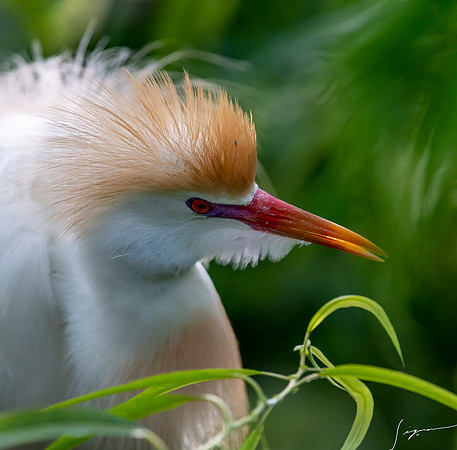 Gatorland20190413_1144