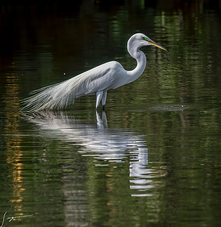 Gatorland20190413_1215-Edit