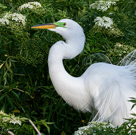 Gatorland20190413_0210