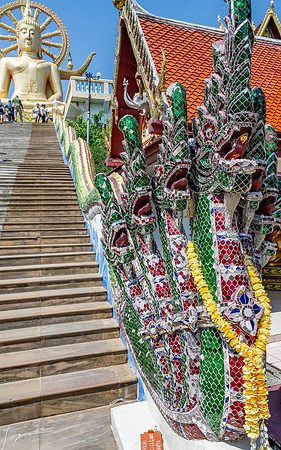 20250203KohSamuiThailand_0282