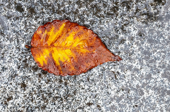 20241002Nagasaki_2261-Edit