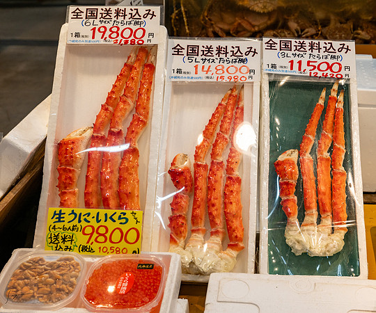 20240918Hakodate_1838