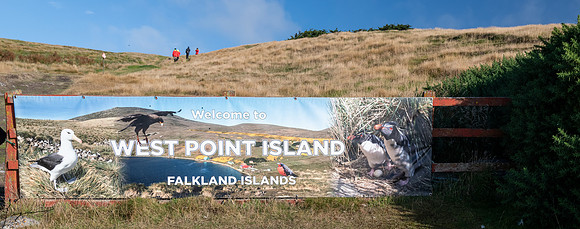 FalklandIslandsWestPointIsland20200316_0011