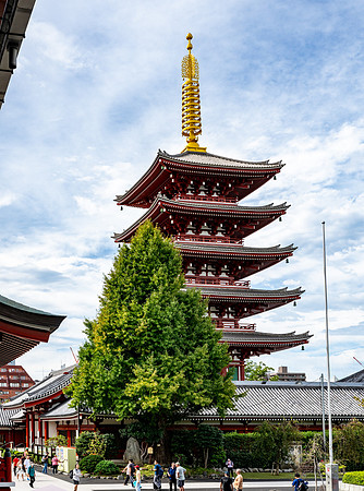 20240920-21Yokahama_0709