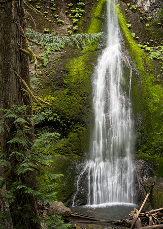 Marymere Falls WA