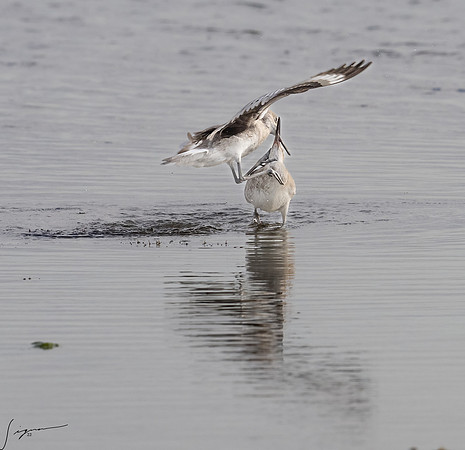_DSC1519-Edit