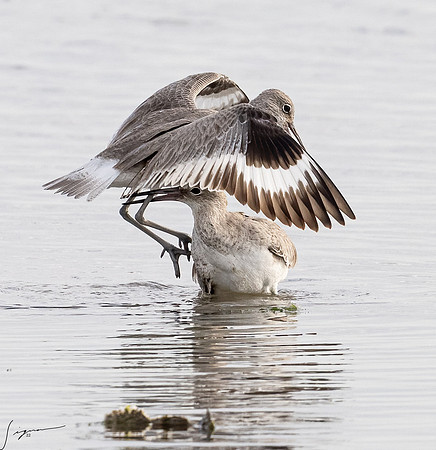 _DSC1918-Edit