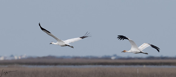 _DSC2350-Edit