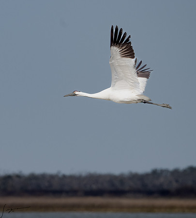 _DSC2326-Edit