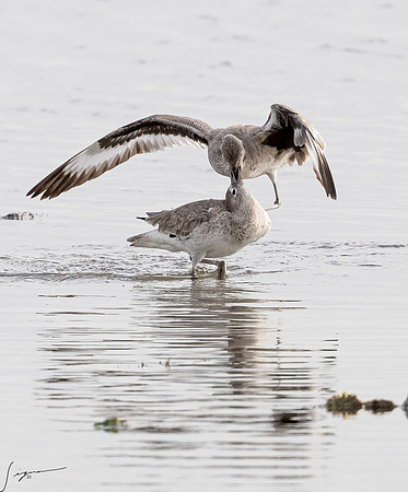 _DSC1696-Edit
