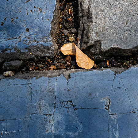 SanJuanPR20260401_0336