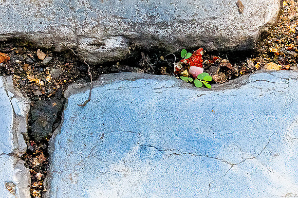 SanJuanPR20260401_0338-Edit-Edit