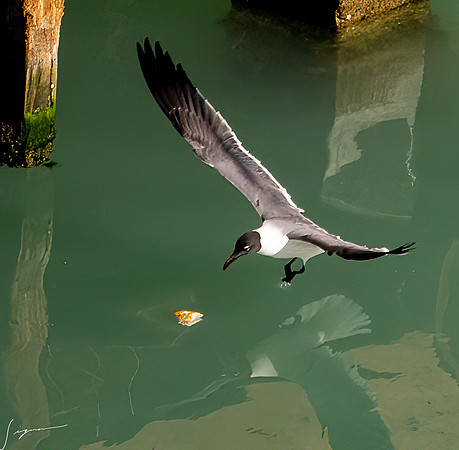 St.John'sAntigua20260403_1360-Edit