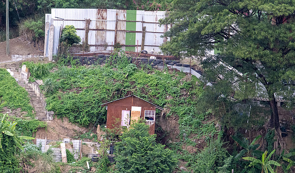 RoseauDominica20260404_1499