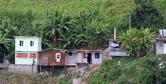 RoseauDominica20260404_1478